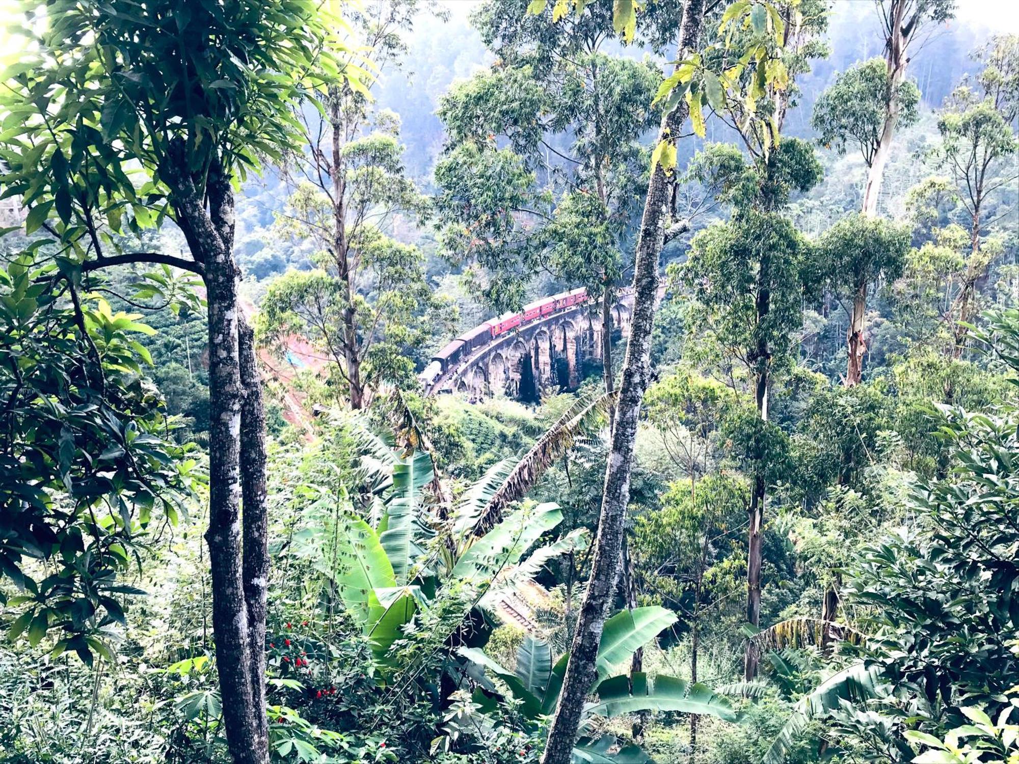 9 Arch View Rest Inn 엘라 외부 사진